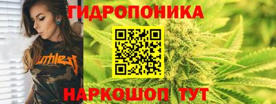 apvp Шелехов