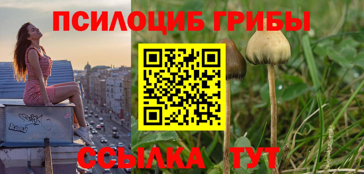 МЕФ Советская Гавань