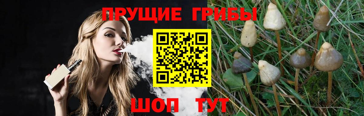 Псилоцибиновые грибы Psilocybine cubensis  Вход с VPN  Советская Гавань  Галлюциногенные грибы ЛСД 