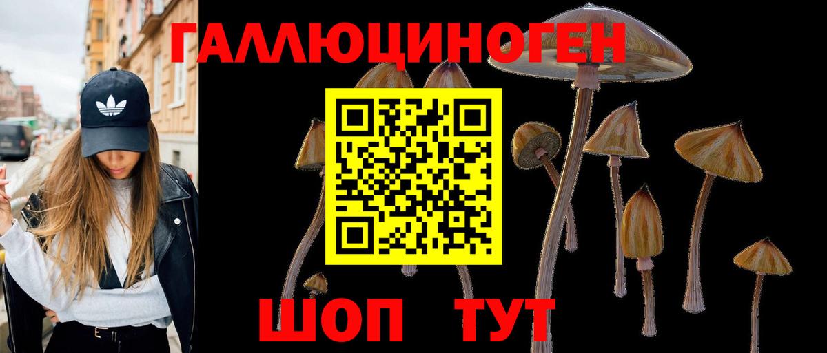 Галлюциногенные грибы мухоморы Советская Гавань